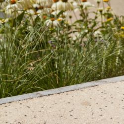 Rathausplatz Lichtenstein_19-07-17-0061.JPG